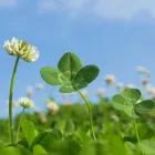 当事務所の特徴